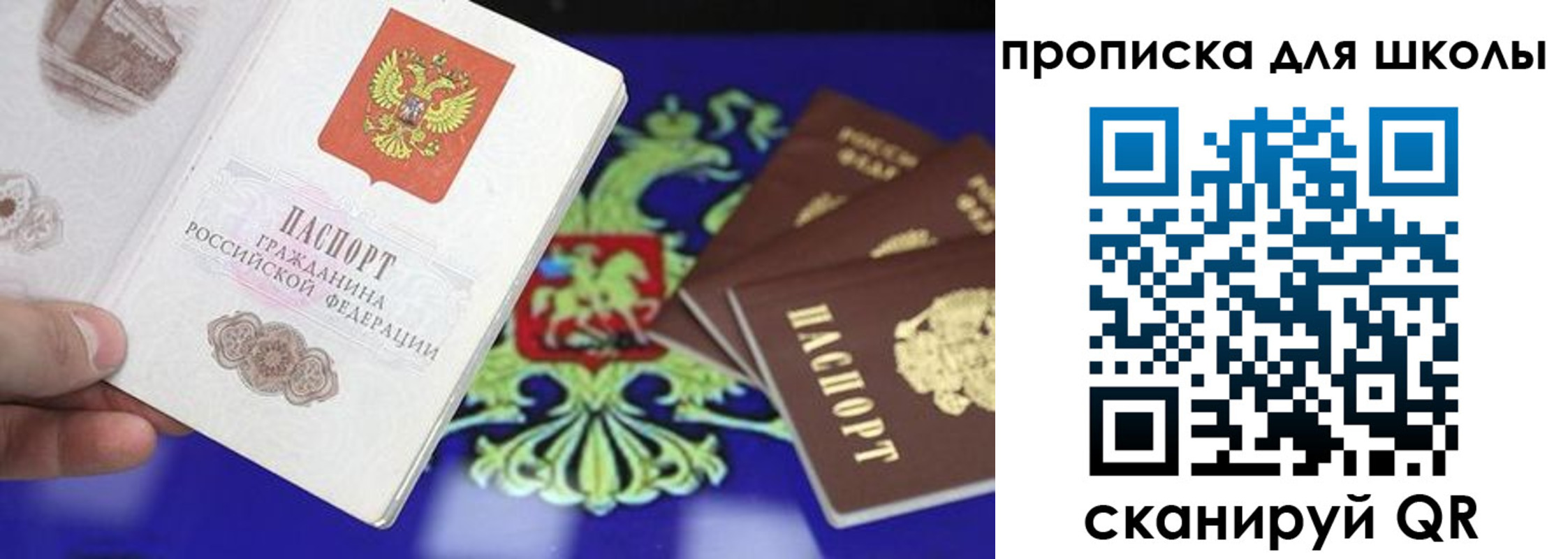 прописка в квартире в Бабаево