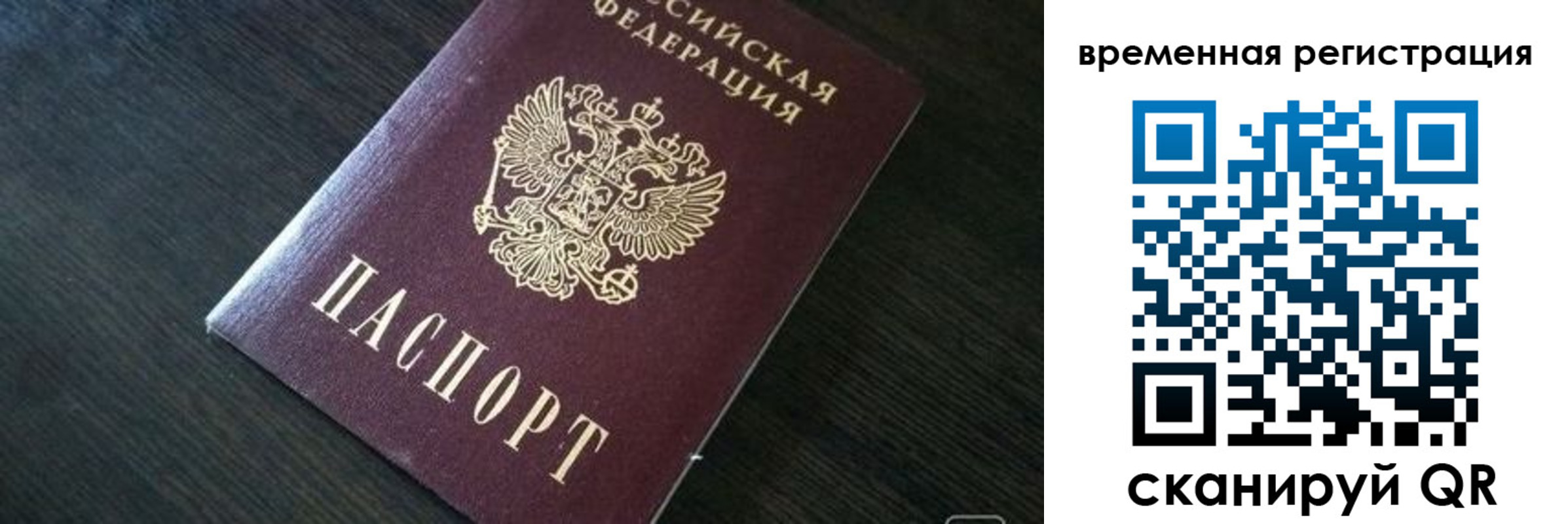 прописка штамп в Бабаево